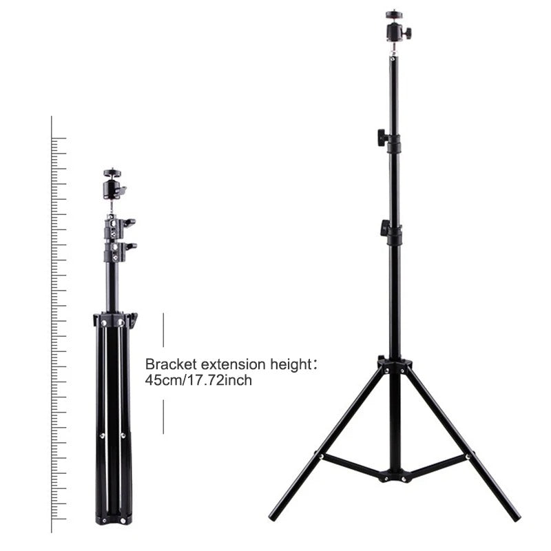 projector Support