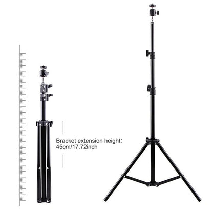 projector Support